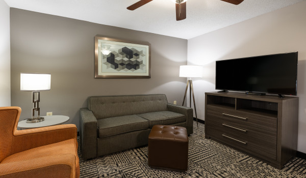 Country Inn & Suites by Radisson Lake Norman Huntersville NC - Guestroom Seating Area 