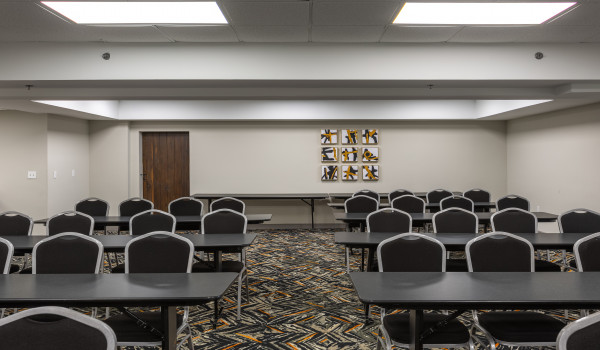 Country Inn & Suites by Radisson Lake Norman Huntersville NC - Meeting Room 2